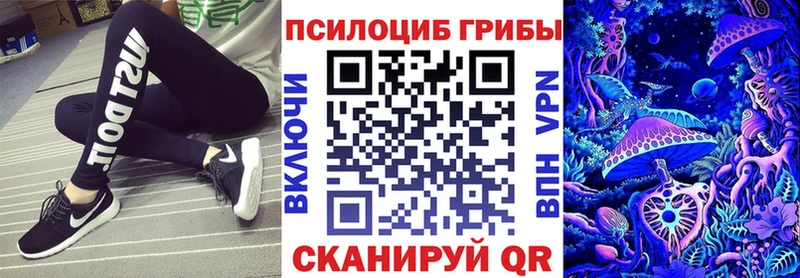 где можно купить наркотик  Камешково  кракен ССЫЛКА  Галлюциногенные грибы Cubensis 